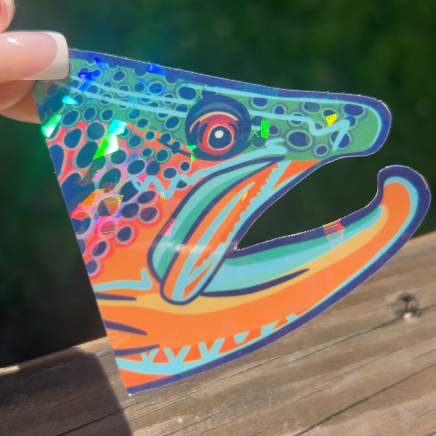 Trout Sticker